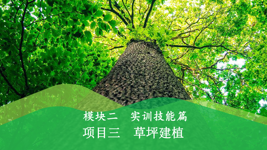 草坪建植与养护项目三-草坪建植课件.pptx_第1页