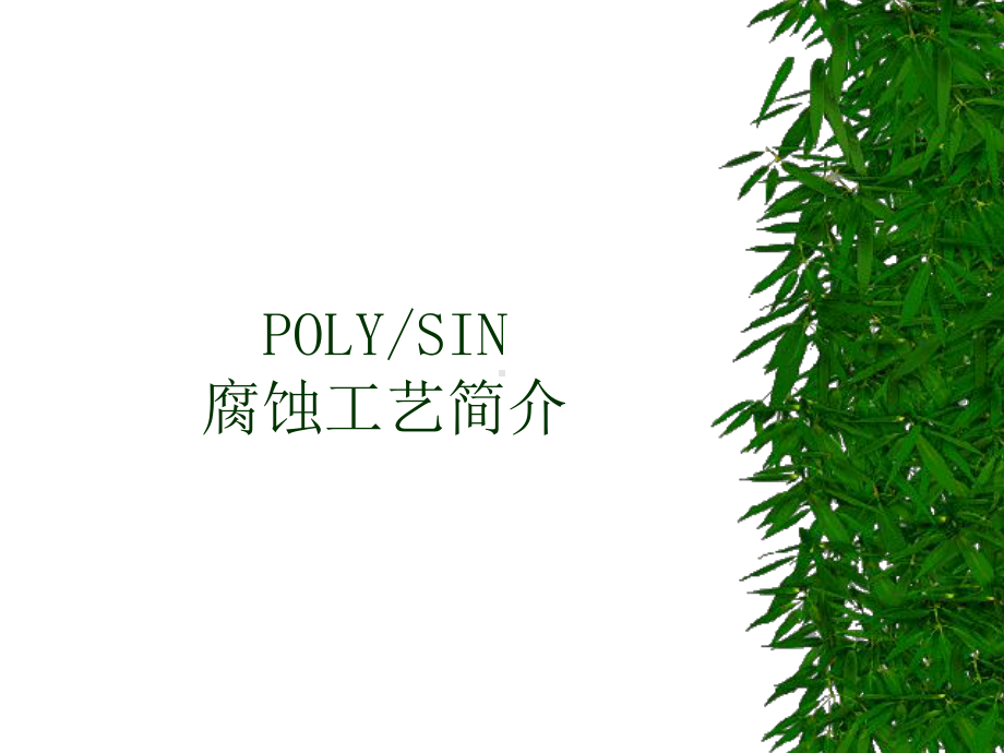 POLYSIN-腐蚀工艺培训update课件.ppt_第1页