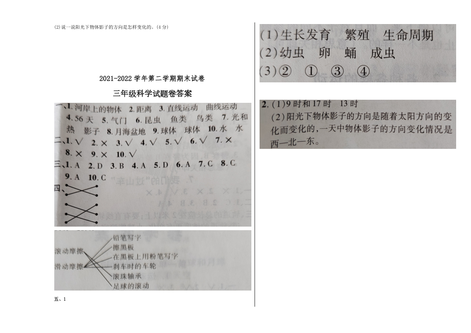 2021-2022学年教科版三年级下学期科学期末试卷（试题）.docx_第3页