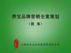 2020年荞宝品牌营销全案策划提案PDF模板可编辑模板可编辑课件.pptx