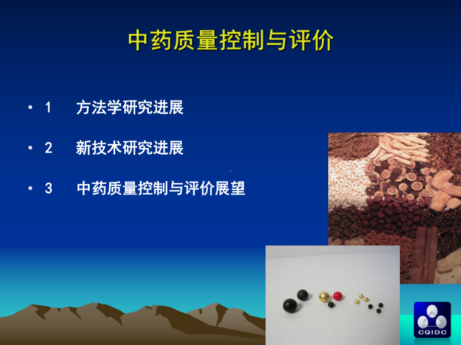 中药质量标准与评价研究进展课件.ppt_第2页