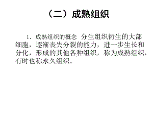 成熟组织课件.ppt