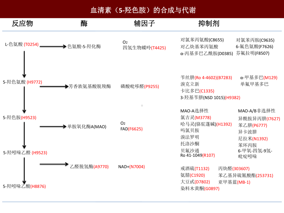 谷氨酸受体课件.ppt_第1页