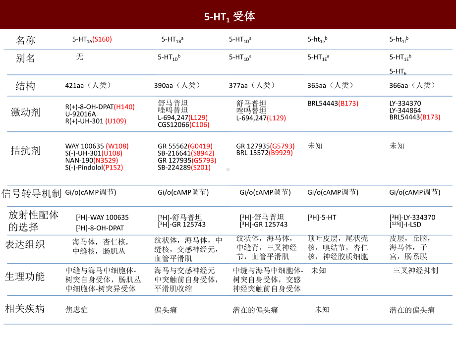 谷氨酸受体课件.ppt_第2页