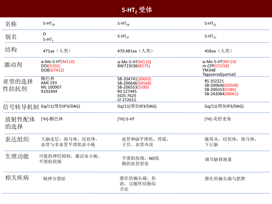 谷氨酸受体课件.ppt_第3页