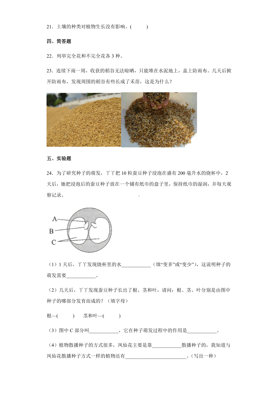 2021-2022学年教科版四年级下学期科学期末训练试题（测试题）.docx_第3页