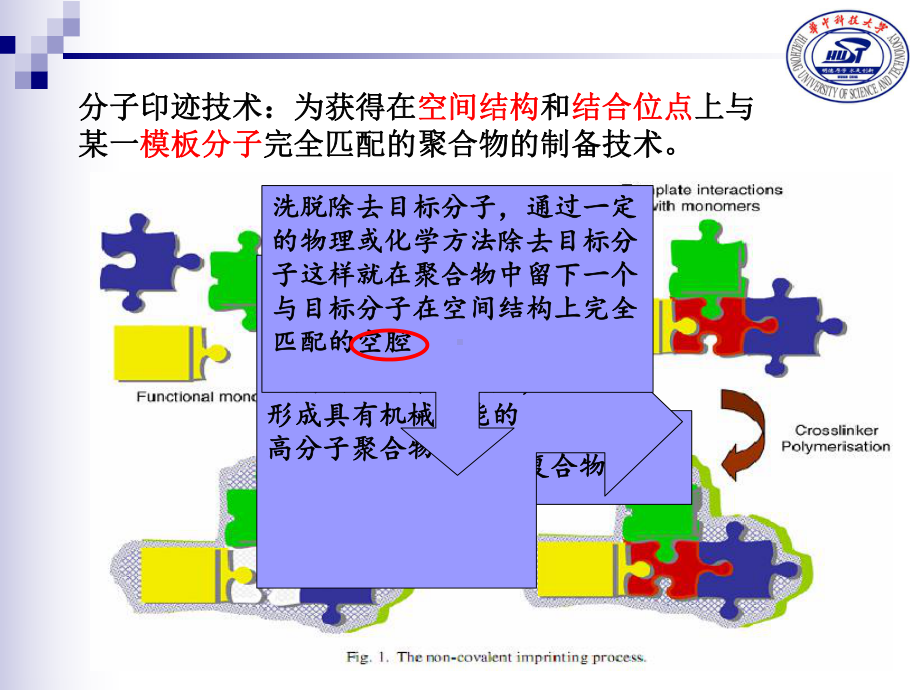 分子印迹技术.课件.ppt_第2页