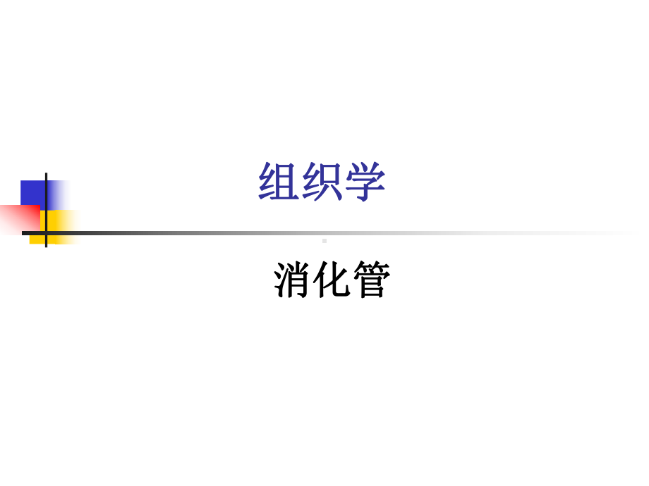 组织胚胎学第14章消化管课件.ppt_第1页