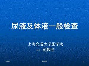 尿液及体液一般检查通用模板课件.pptx