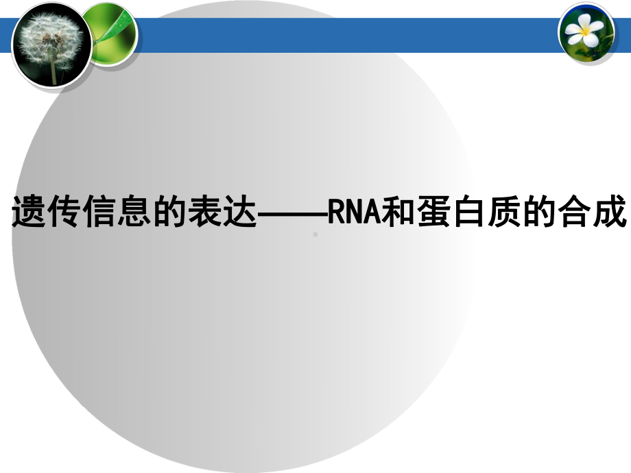 遗传信息的表达-RNA和蛋白质的合成课件.ppt_第1页