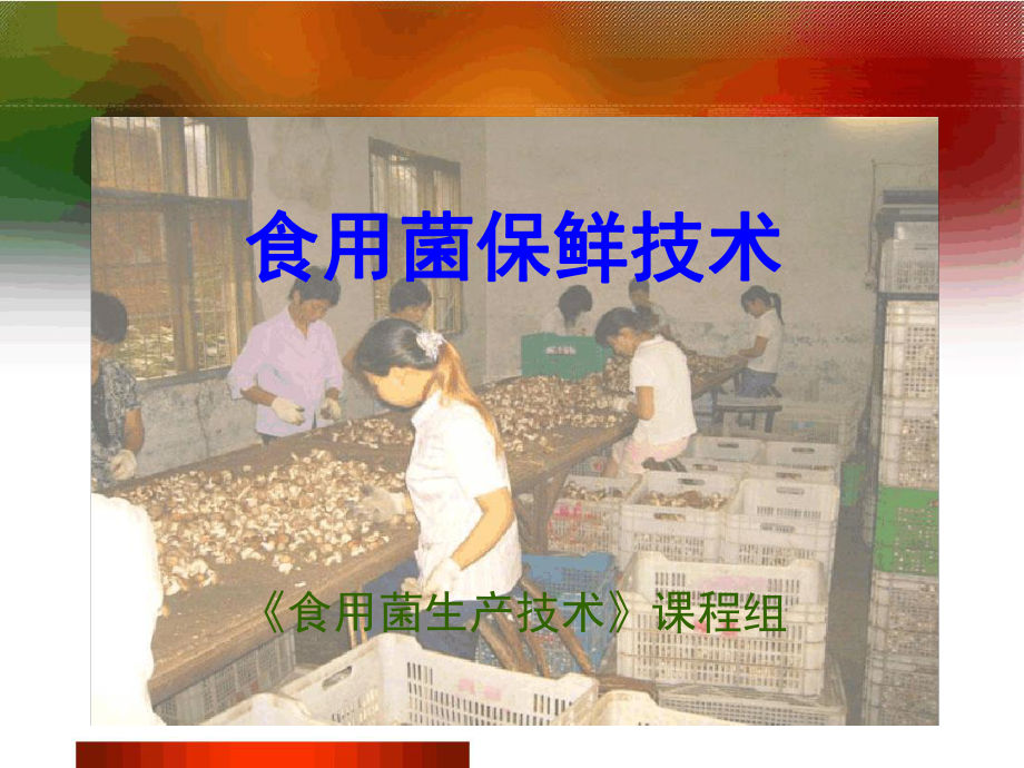 A15食用菌保鲜与粗加工技术课件.ppt_第1页