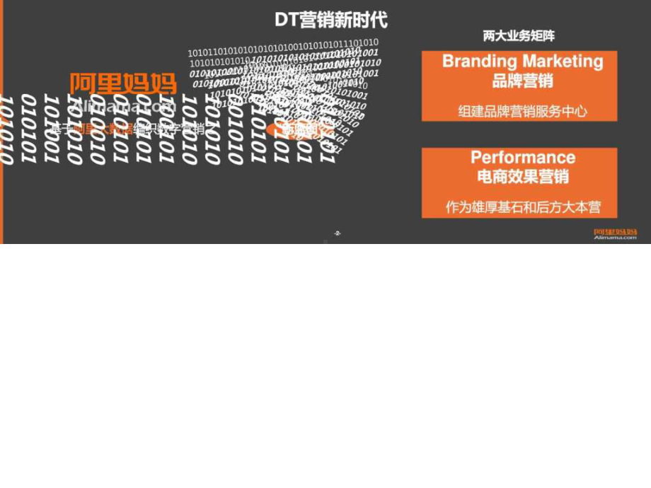 阿里妈妈全息大数据及电商平台营销数据分析报告课件.ppt_第2页