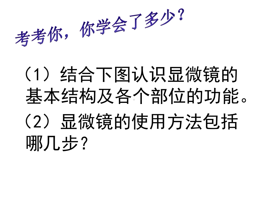 显微镜的放大倍数=目镜放大倍数×物镜放大倍数课件.ppt_第3页