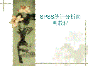 SPSS统计分析简明教程课件.ppt