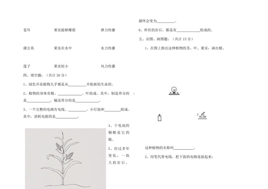 2021-2022学年教科版四年级下学期科学期末模拟试题（试题）.docx_第2页