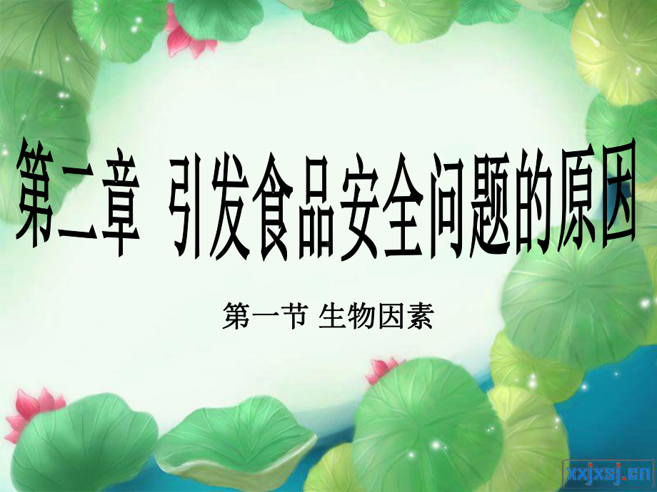 引发食品安全问题的微生物因素课件.ppt_第1页