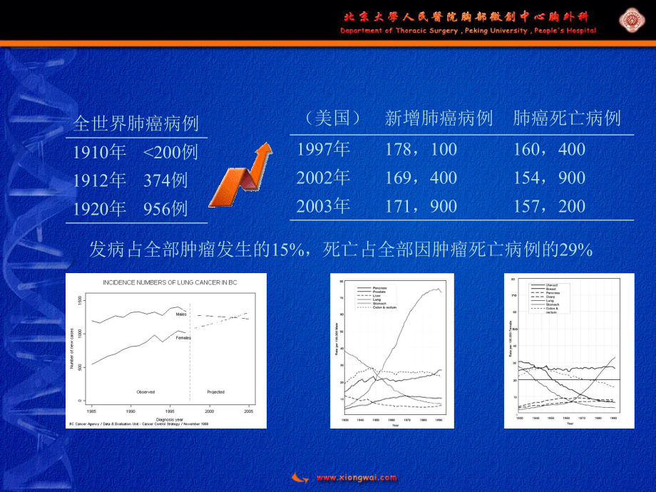 gP96多肽复合物／树突状细胞疫苗研究课件.ppt_第3页