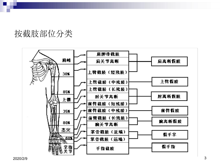 -假肢技术上肢假肢课件.ppt_第3页