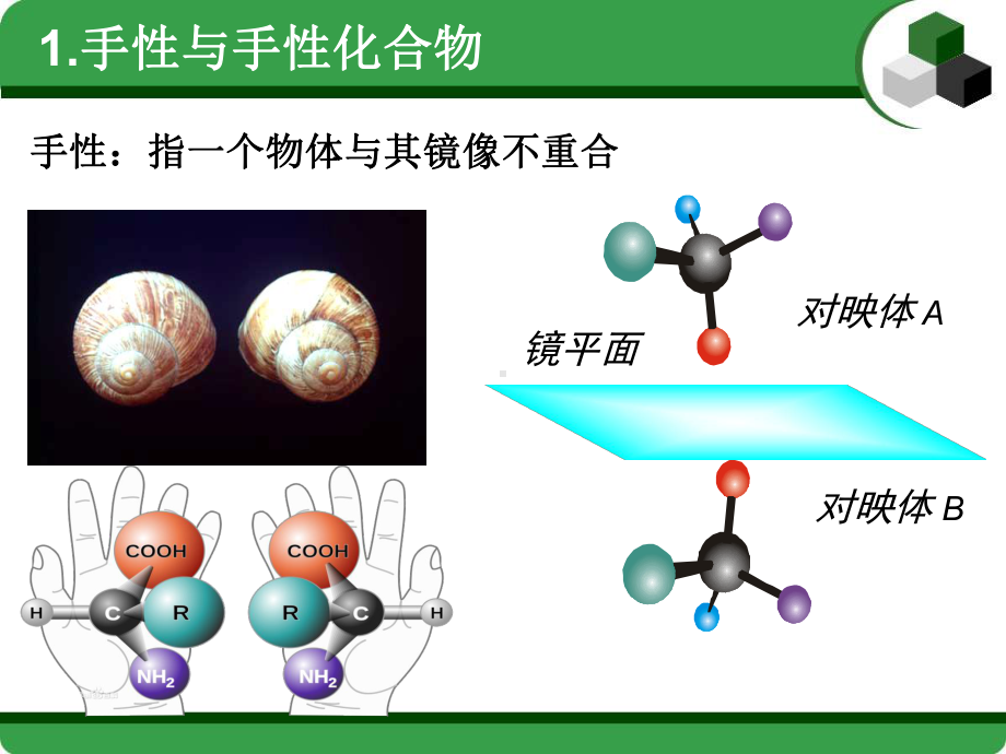 不对称合成.课件.ppt_第2页