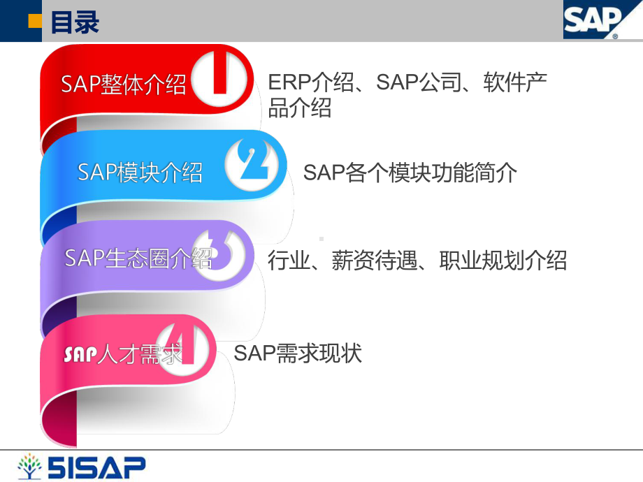 2020年SAP公开课PPT参照模板课件.pptx_第2页