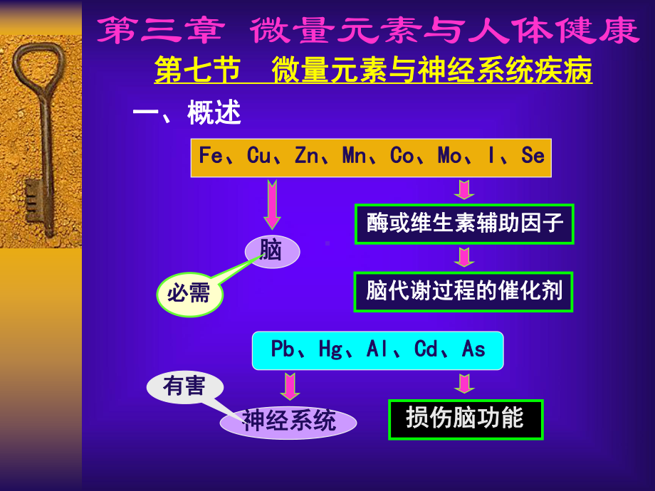 微量元素之神经课件.ppt_第2页