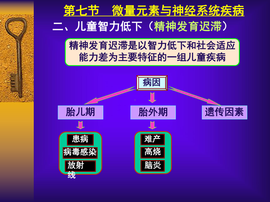 微量元素之神经课件.ppt_第3页