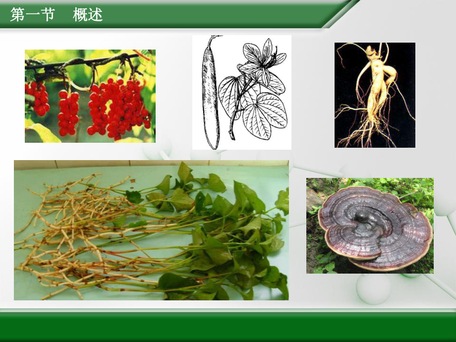 天然药物化学基础第一章-绪论课件.ppt_第3页