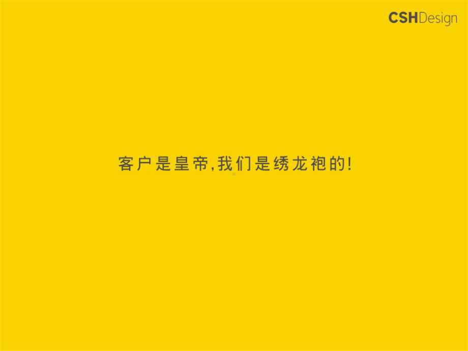 中华卫视核心标志设计提案课件.ppt_第2页