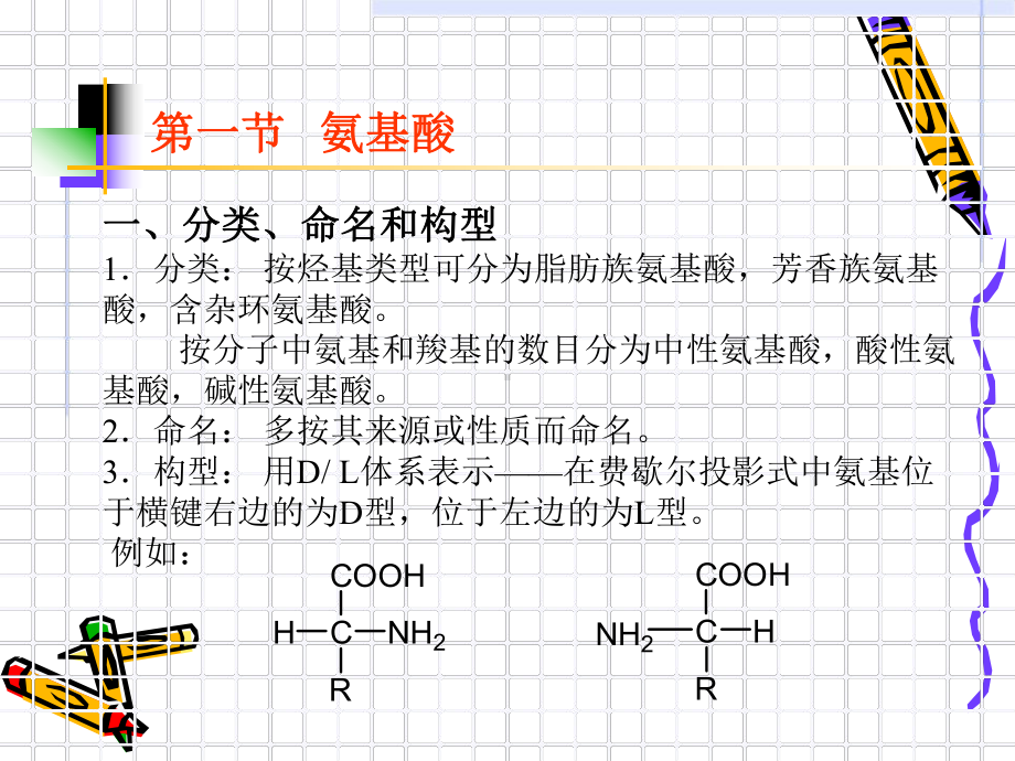 氨基酸氨基的反应课件.ppt_第2页