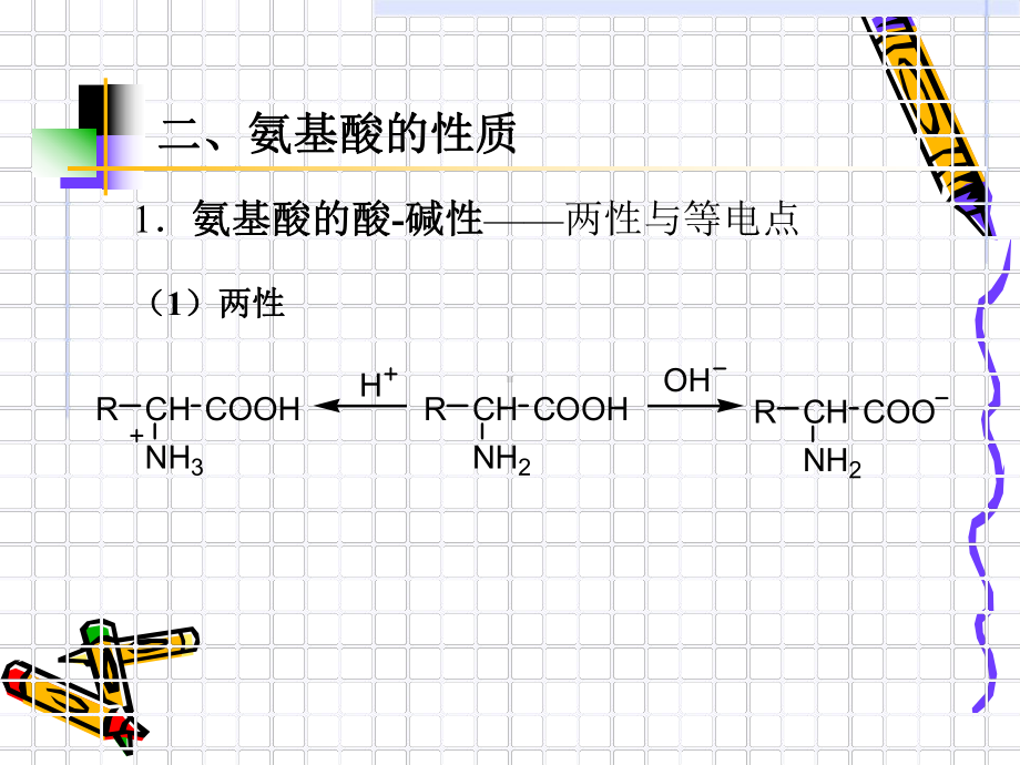 氨基酸氨基的反应课件.ppt_第3页