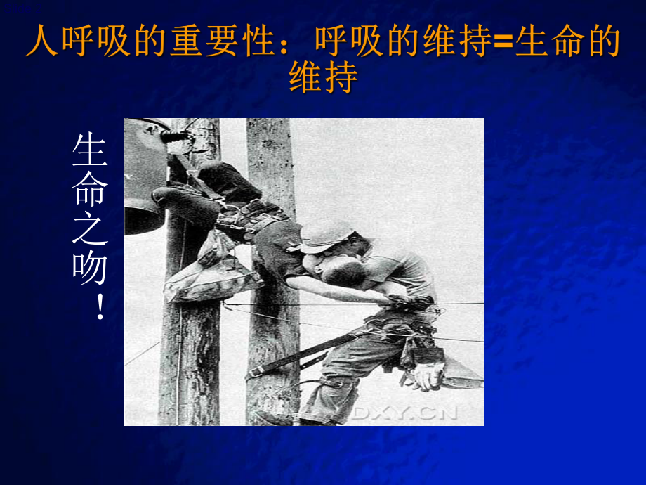 机械通气与RM课件.ppt_第2页