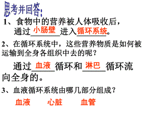 体内物质的运输课件.ppt