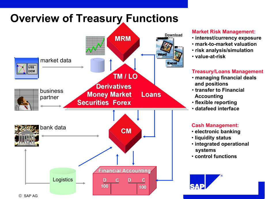 2020年SAP标准的Treasury培训文档参照模板课件.pptx_第2页