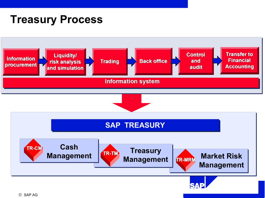 2020年SAP标准的Treasury培训文档参照模板课件.pptx_第3页