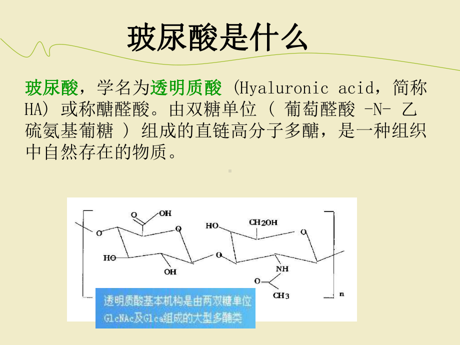 玻尿酸基础知识课件.ppt_第2页