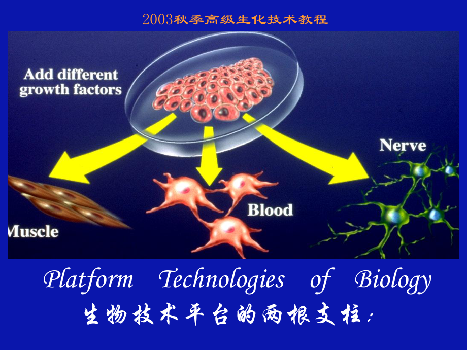 一细胞培养技术课件.ppt_第1页