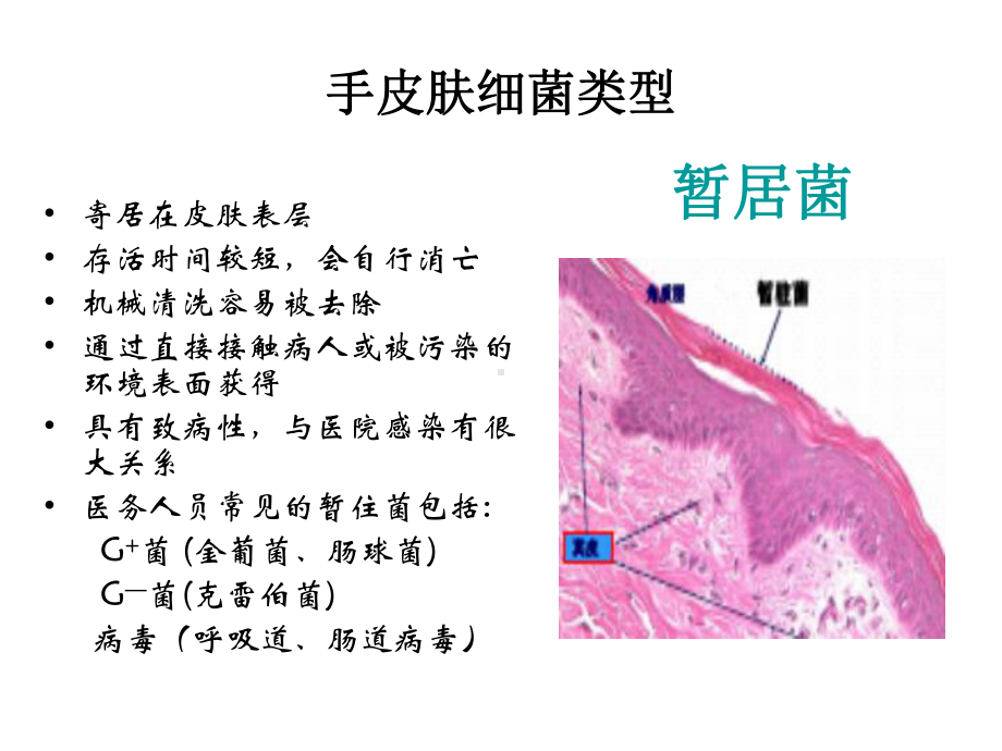 医务人员手卫生课件.ppt_第3页