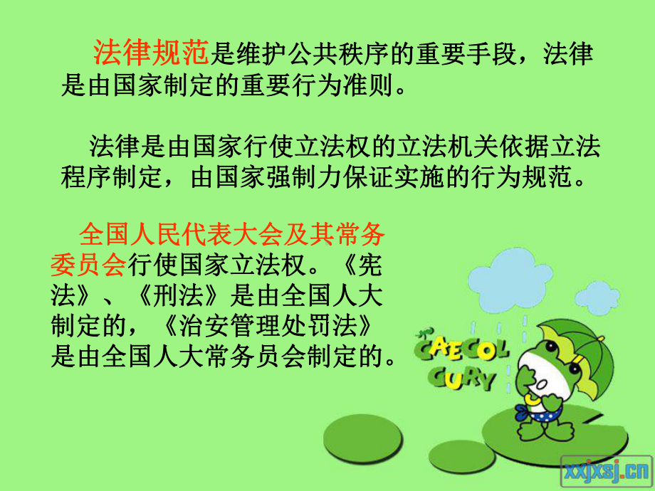 维护公共秩序需要法律规范课件.ppt_第3页