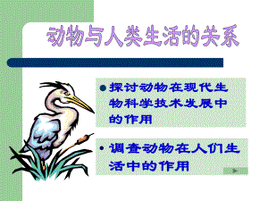 八年级生物-动物与人类生活的关系-ppt课件.ppt