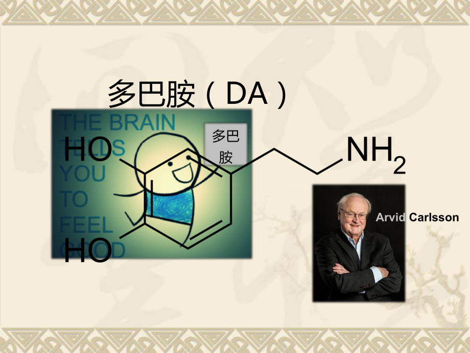 中脑—边缘通路多巴胺与爱情的关系课件.ppt_第3页