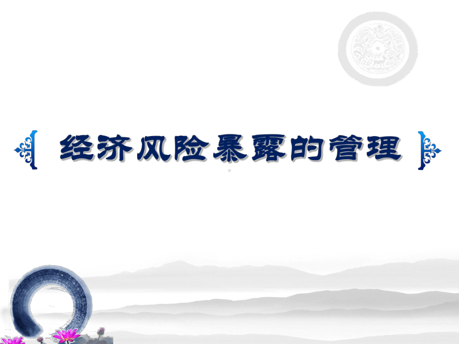 经济风险暴露的测量课件.ppt_第1页