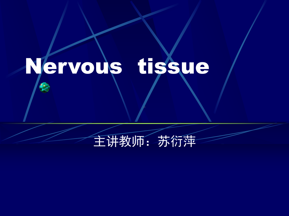 第七章神经组织新课件.ppt_第2页