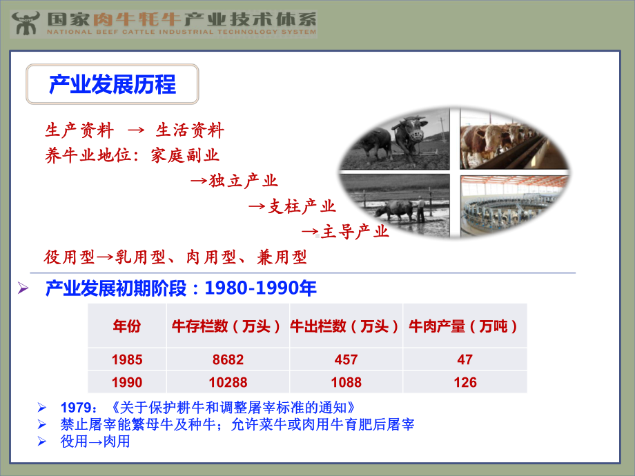 牛肉产量-国家肉牛牦牛产业技术体系课件.ppt_第3页