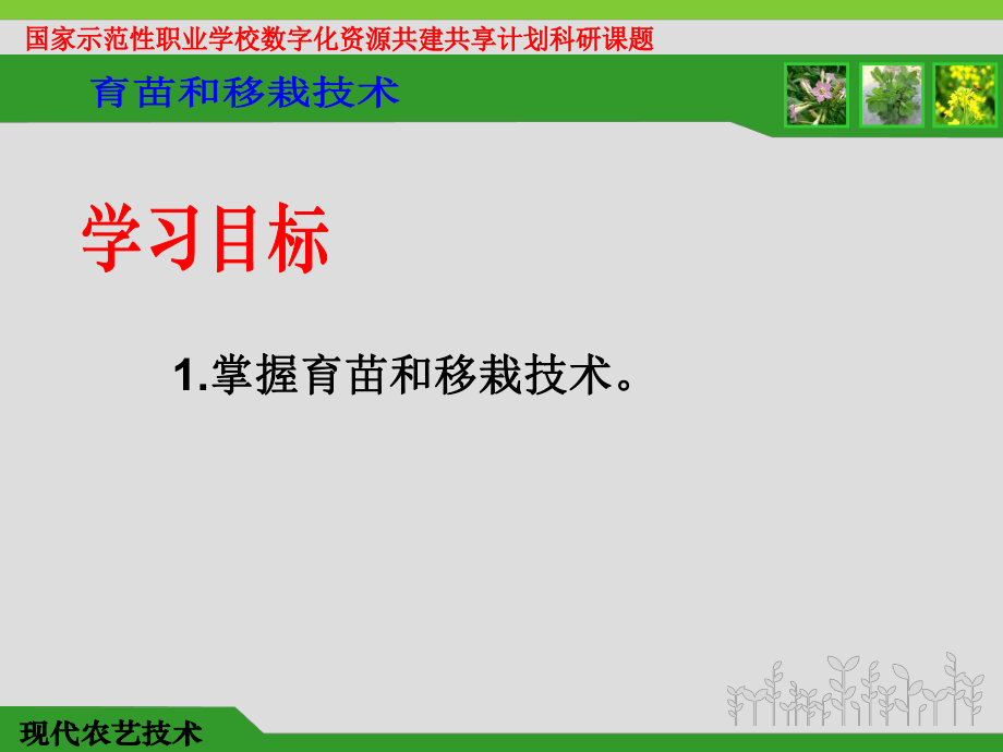 掌握育苗和移栽技术课件.ppt_第2页