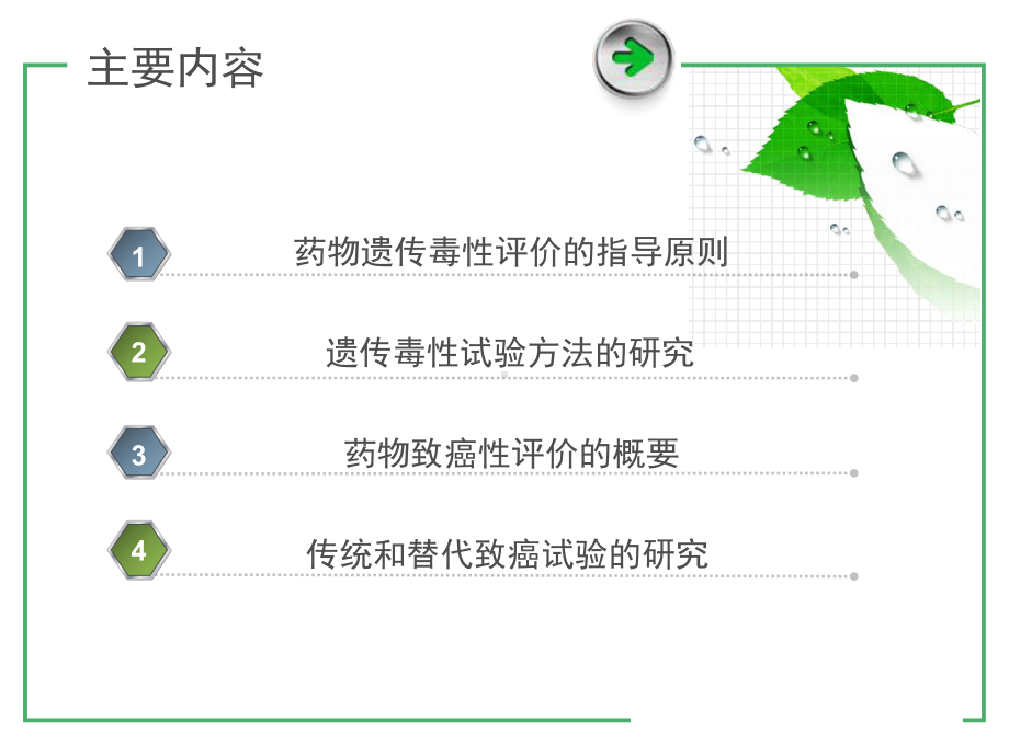 2020年07药物遗传毒性和致癌性研究现状和动向参照模板课件.pptx_第2页