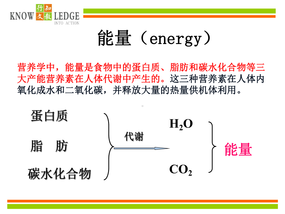 X第3章能量蛋白质脂类碳水化合物课件.ppt_第3页