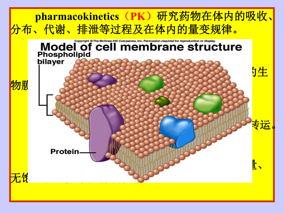 第2章-药物代谢动力学-1课件.ppt_第3页