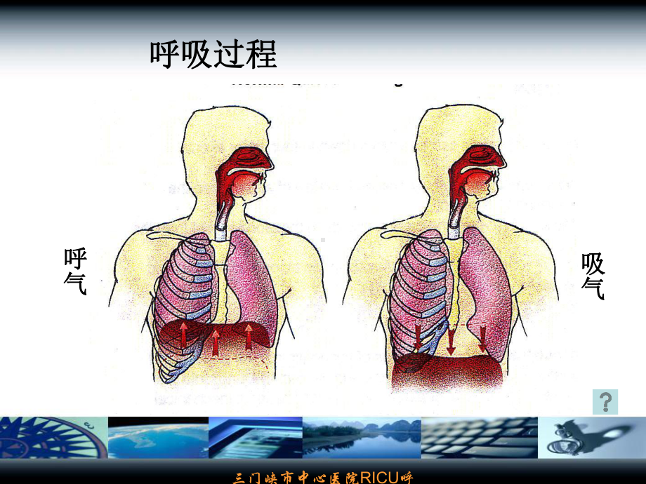 机械通气参数设置与调节讲课课件.ppt_第2页