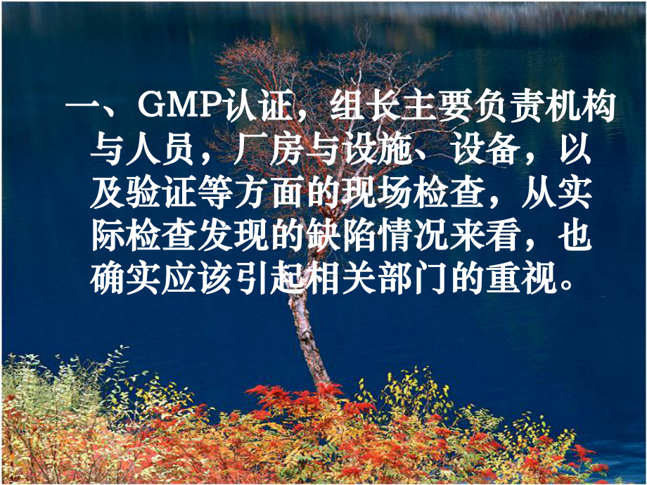 GMP检查与设备运行维护的常见问题课件.ppt_第2页