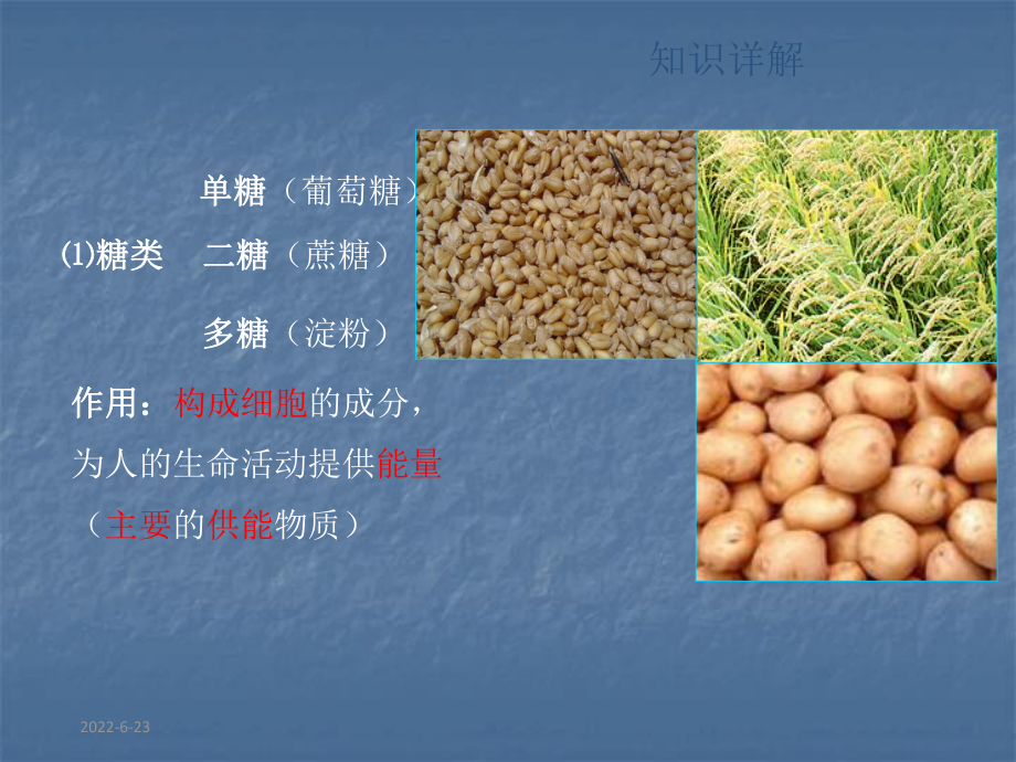 第一节-人的食物来源于环境.课件.ppt_第3页